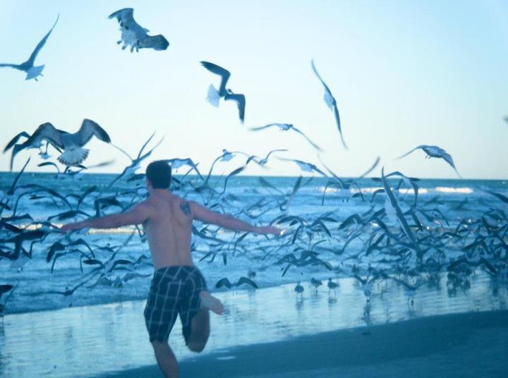 logan chasing sea gulls