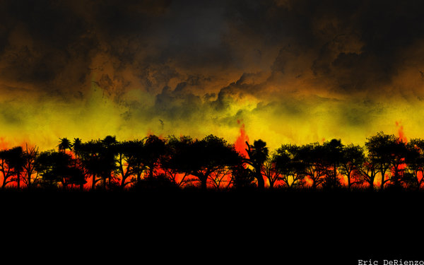 Forest_Fire_Wallpaper_by_Jombo_Sized